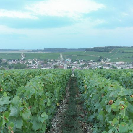 Une Parenthese En Champagne Jaucourt Buitenkant foto