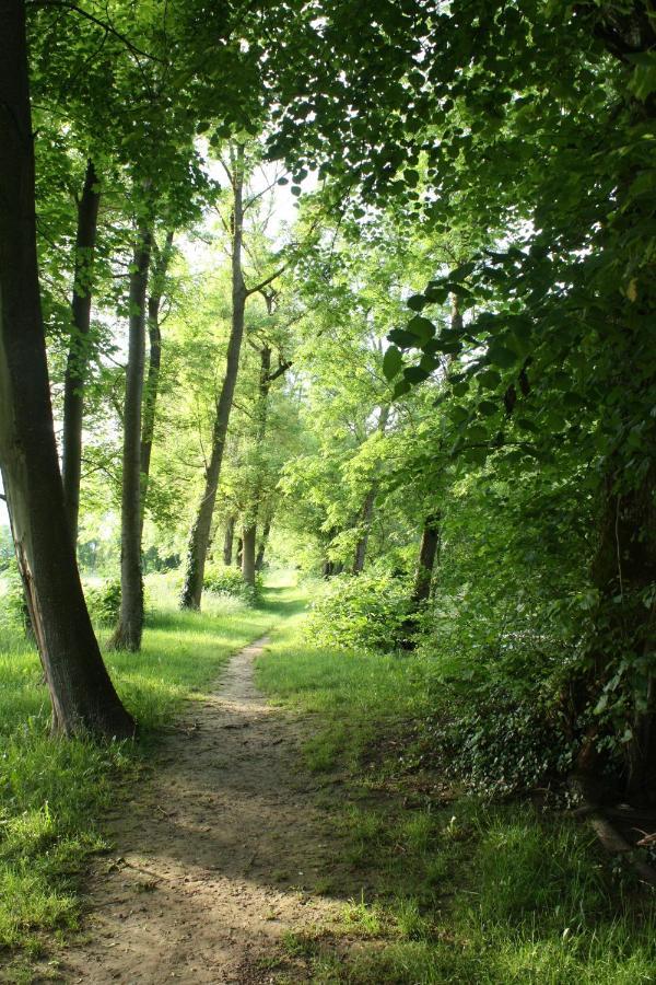 Une Parenthese En Champagne Jaucourt Buitenkant foto