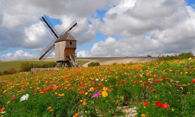 Une Parenthese En Champagne Jaucourt Buitenkant foto