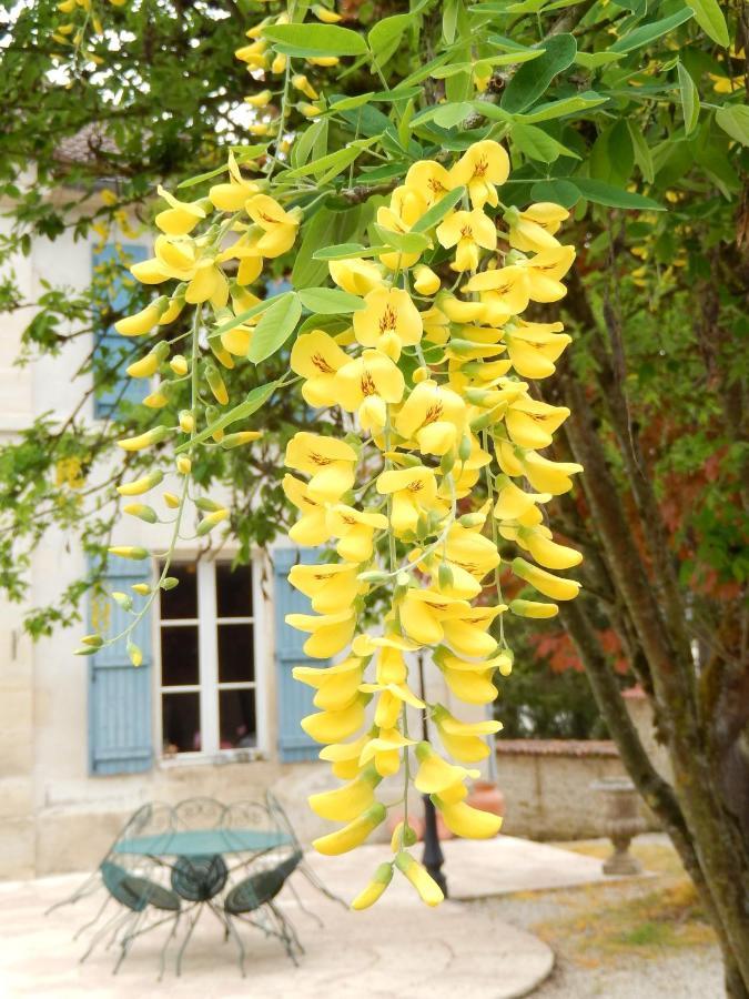 Une Parenthese En Champagne Jaucourt Buitenkant foto