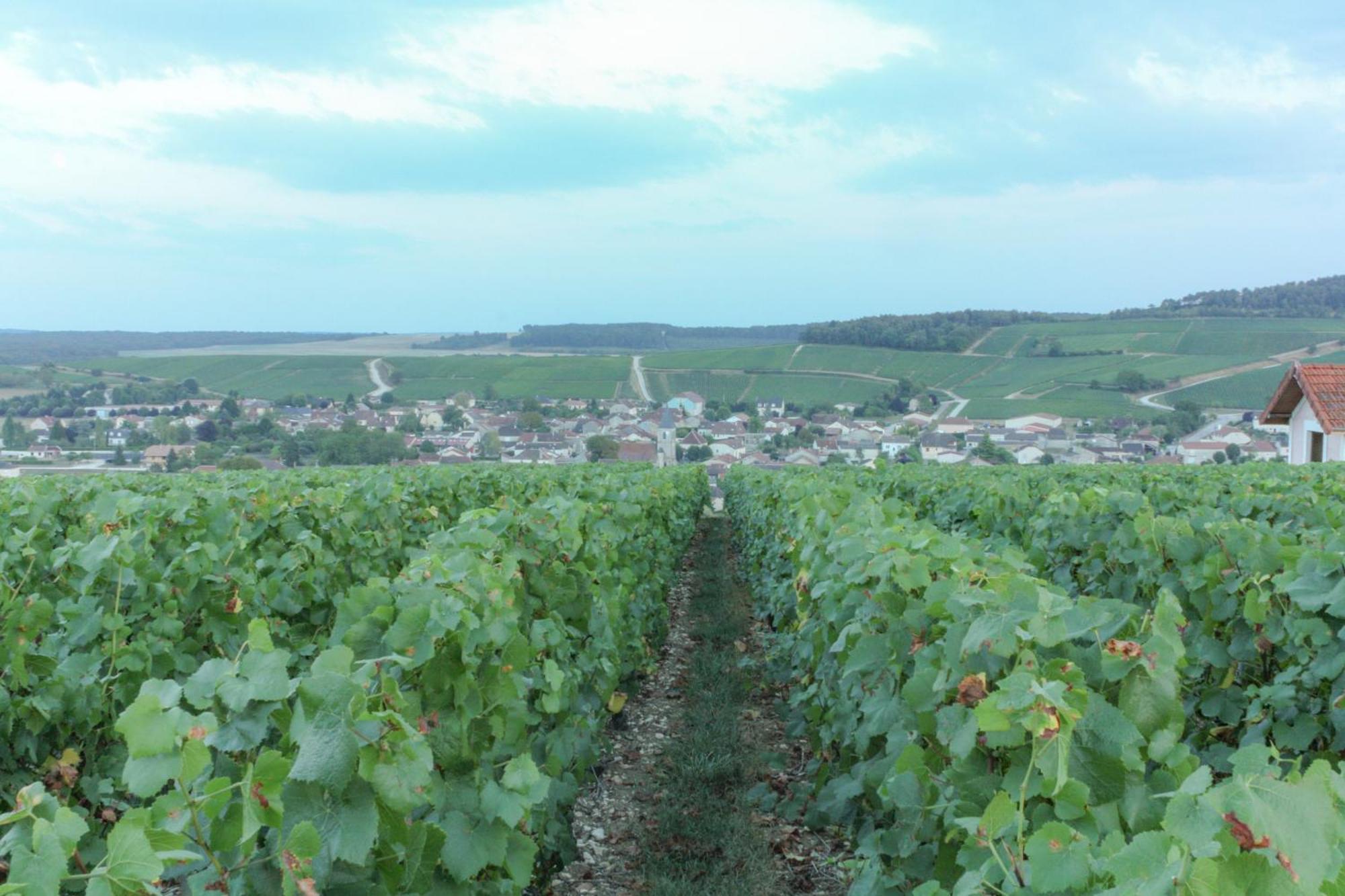 Une Parenthese En Champagne Jaucourt Buitenkant foto